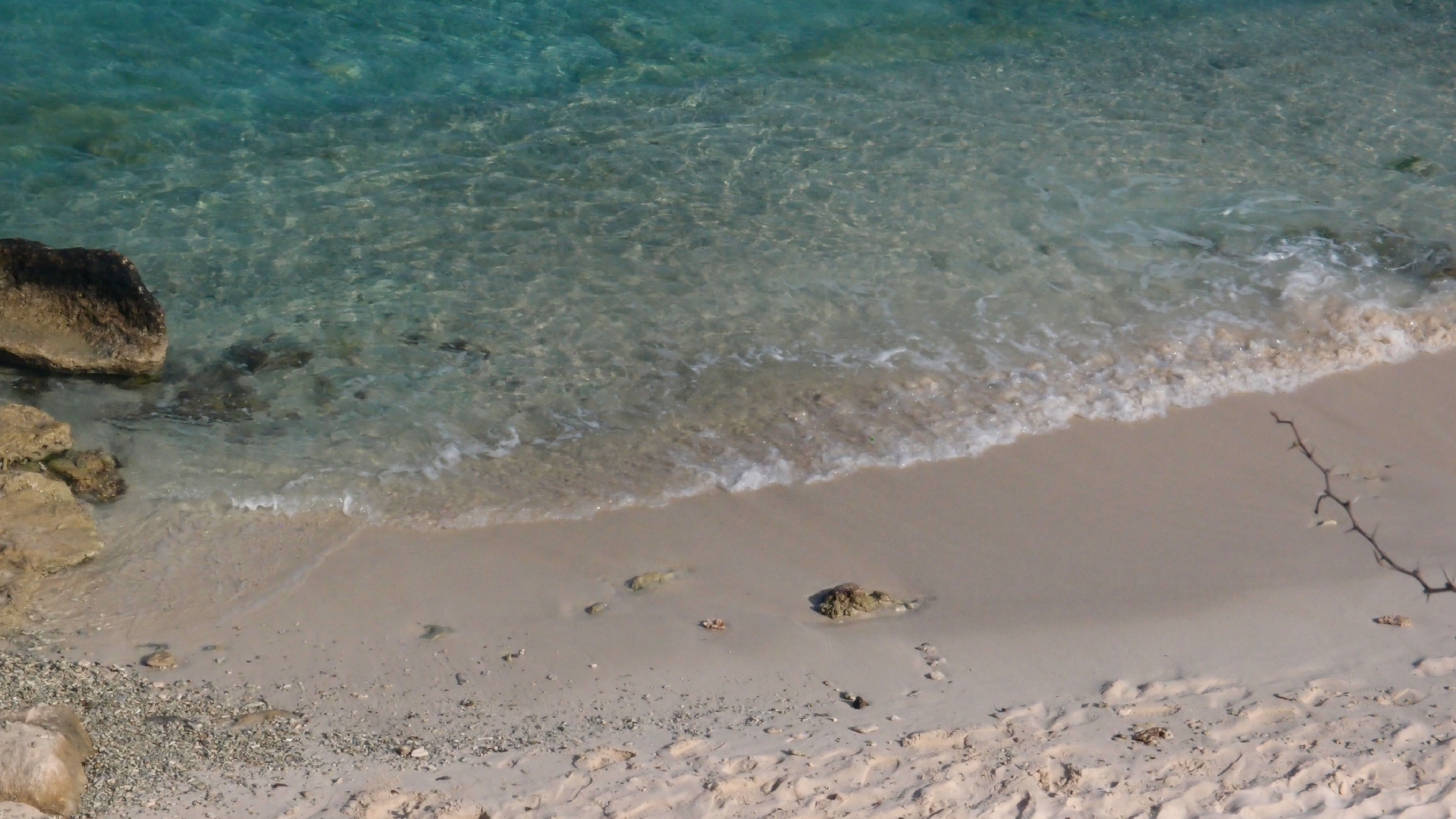 2022-04-15 Grote Knipp (am Strand und im Wasser) (Foto, Video)